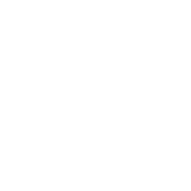 SOLUTION 1